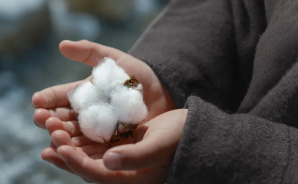 照片來源:Muji 官方網站 照片來源:Muji 官方網站