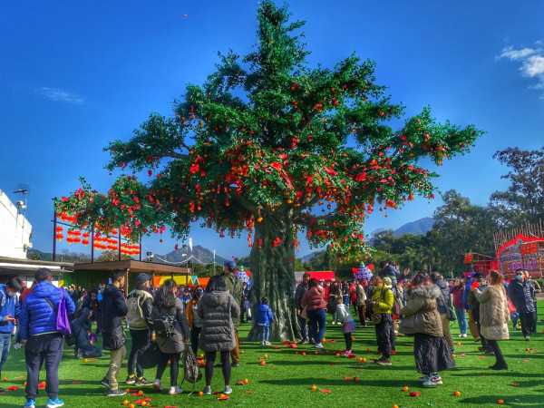 大埔林村許願樹拋寶牒許願(圖片來源︰香港旅遊發展局)