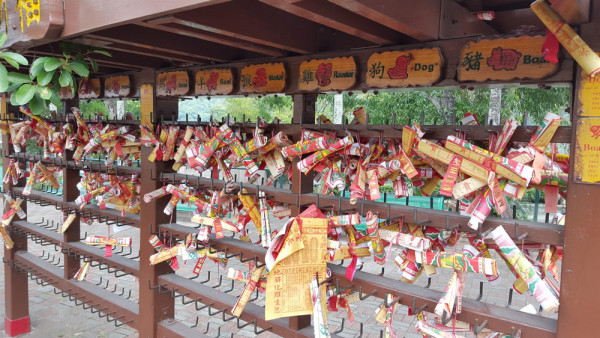 大埔林村許願樹拋寶牒許願(圖片來源︰香港自遊樂在18區)