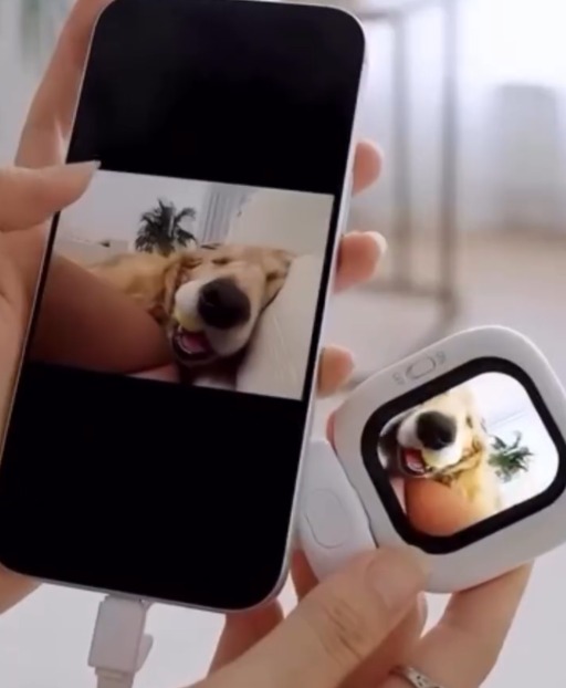 手機前置自拍弱爆？網民瘋搶「後置神器」高清畫質驚人：終於唔使盲拍、有小螢幕睇