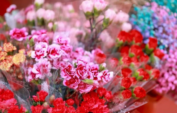 圖片來源：小紅書@深漂生活