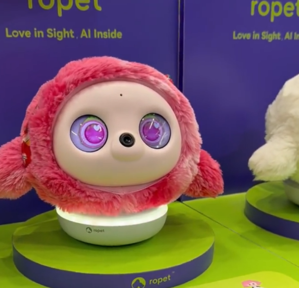 照片來源:小紅書@陶朱新造局 照片來源:小紅書@陶朱新造局