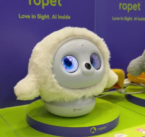 照片來源:小紅書@陶朱新造局 照片來源:小紅書@陶朱新造局