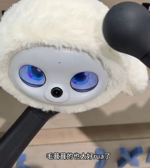 照片來源:小紅書@陶朱新造局 照片來源:小紅書@陶朱新造局