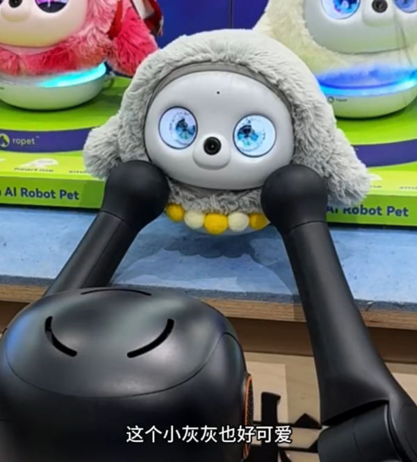 照片來源:小紅書@陶朱新造局 照片來源:小紅書@陶朱新造局