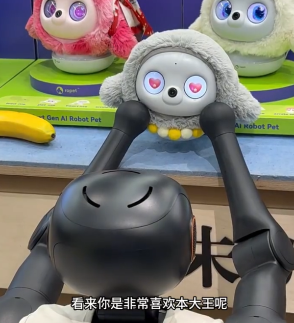 照片來源:小紅書@陶朱新造局 照片來源:小紅書@陶朱新造局