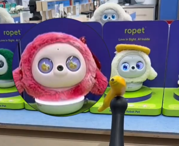 照片來源:小紅書@陶朱新造局 照片來源:小紅書@陶朱新造局