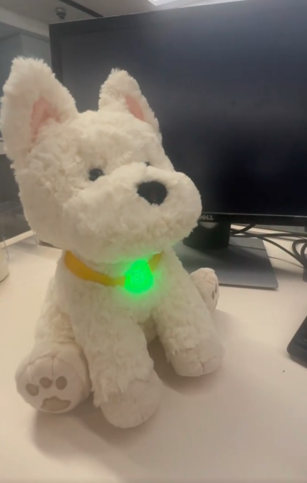 照片來源:小紅書@宠物有品 照片來源:小紅書@宠物有品