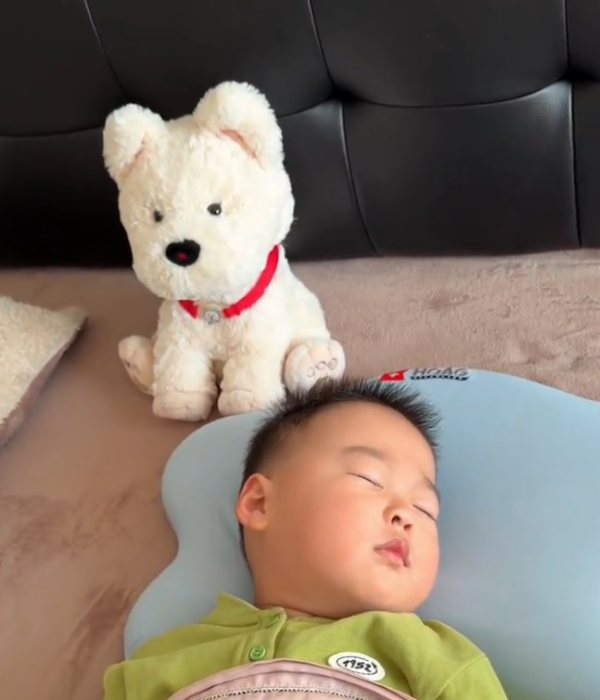 照片來源:小紅書@鱼丸 照片來源:小紅書@鱼丸