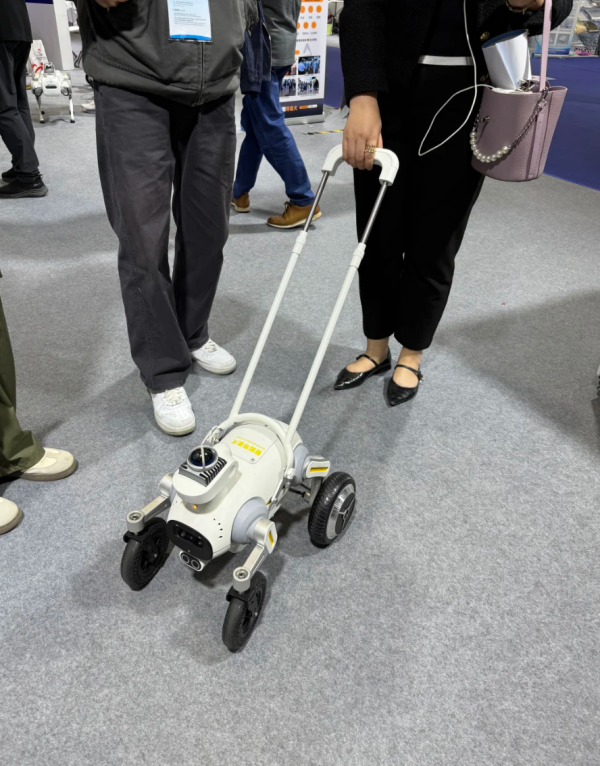 唔使執屎唔驚老死!中國內地AI寵物狗爆紅 識認路陪傾偈撒嬌 網民:治癒感爆棚