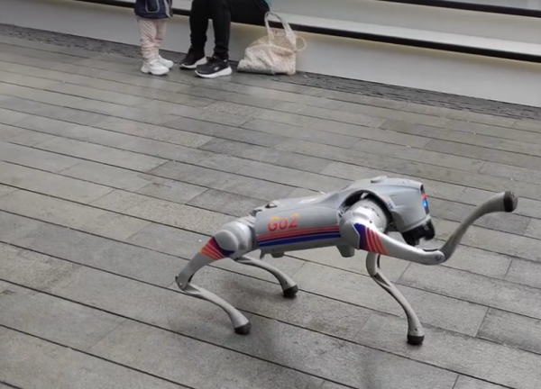 照片來源:小紅書@Ray 照片來源:小紅書@Ray