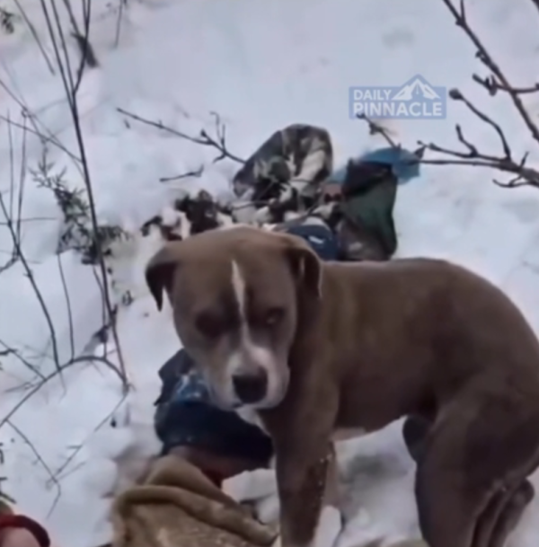 照片來源:Báo Tuổi Trẻ 照片來源:Báo Tuổi Trẻ