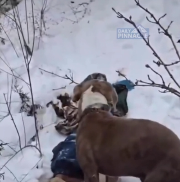 照片來源:Báo Tuổi Trẻ 照片來源:Báo Tuổi Trẻ