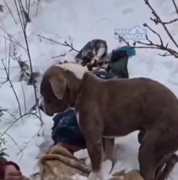 照片來源:Báo Tuổi Trẻ 照片來源:Báo Tuổi Trẻ