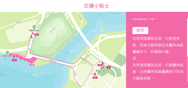 機場櫻花園2026情人節前盛放！最靚「賞櫻黃金期」爆發、港鐵東涌站全新通道直達