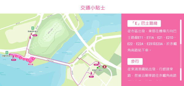 機場櫻花園2026情人節前盛放！最靚「賞櫻黃金期」爆發、港鐵東涌站全新通道直達