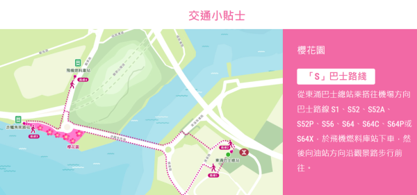 機場櫻花園2026情人節前盛放！最靚「賞櫻黃金期」爆發、港鐵東涌站全新通道直達