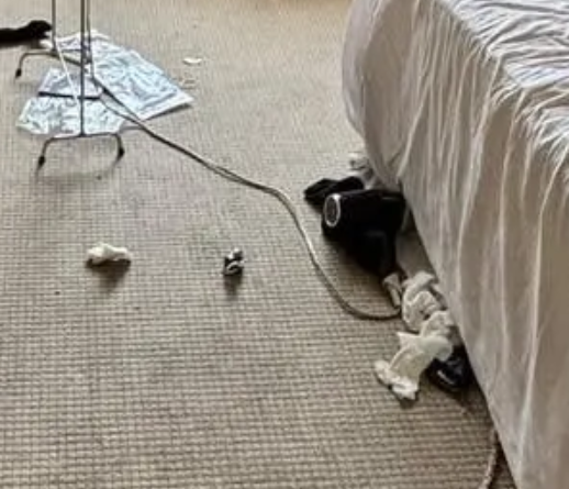 兩內地女糟蹋日本酒店房變垃圾崗廁板粉紅拒付清潔費 房務員開門崩潰:煉獄