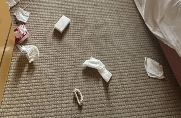 兩內地女糟蹋日本酒店房變垃圾崗廁板粉紅拒付清潔費 房務員開門崩潰:煉獄