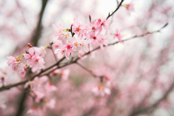 港版小鐮倉曝光！東涌無敵海景巴士站爆紅 陳慧琳曾取景 網民憂淪陷：旺過旺角