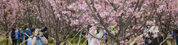 奧運全新1.5萬呎「巨型遊樂場」登場！13大放電區免費玩 情人節送氣球/6米燈飾