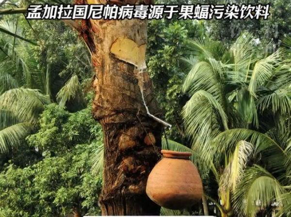 照片來源:小紅書@佳味添成-快曝 照片來源:小紅書@佳味添成-快曝