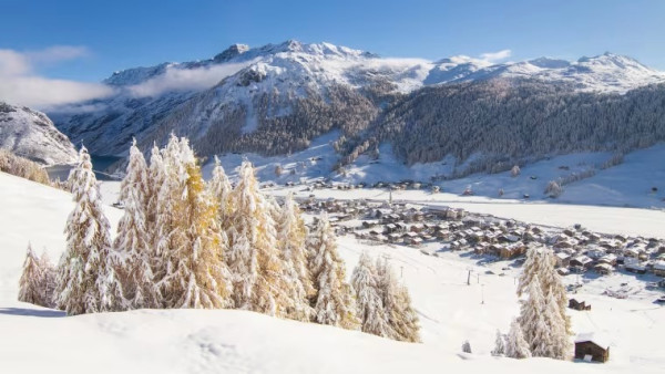 【2026冬季奧運】米蘭、科爾蒂納雙城主辦必睇5大亮點！港隊賽程時間表一文睇清 