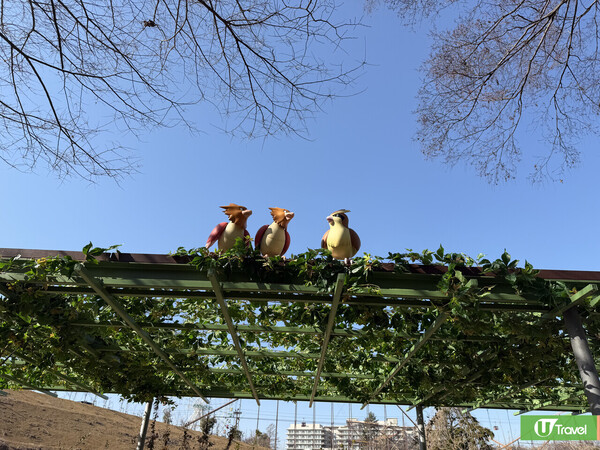 現場直擊!東京PokéPark KANTO 2.6公頃2大必玩區域Pokémon迷通行證率先睇