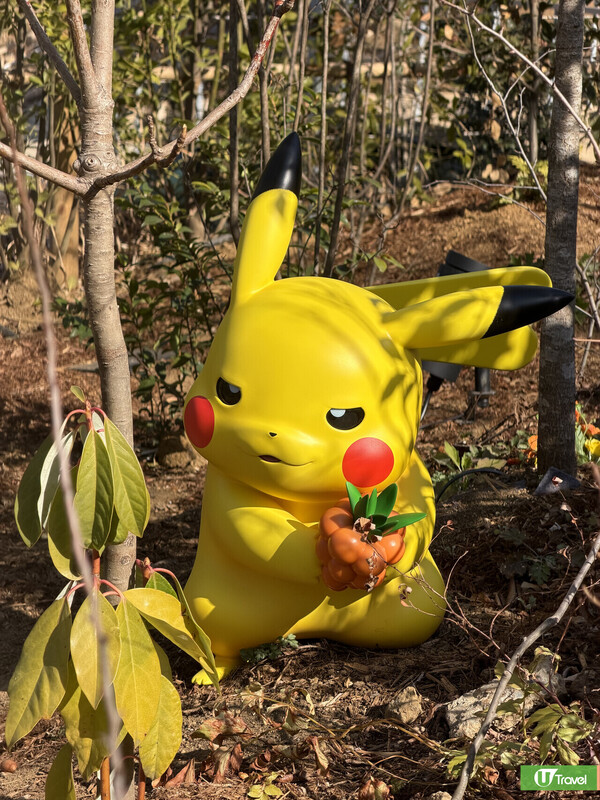 現場直擊!東京PokéPark KANTO 2.6公頃2大必玩區域Pokémon迷通行證率先睇