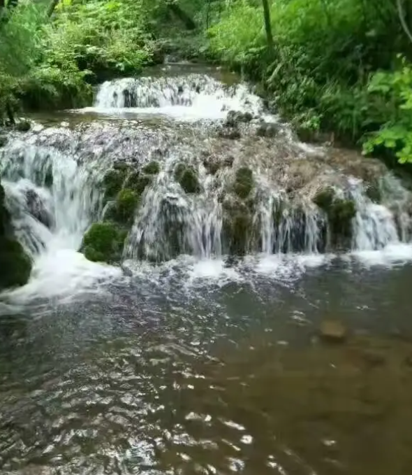 2026馬年內地免費旅遊攻略！15大熱門景區港人憑證件及「馬」字免費入場 