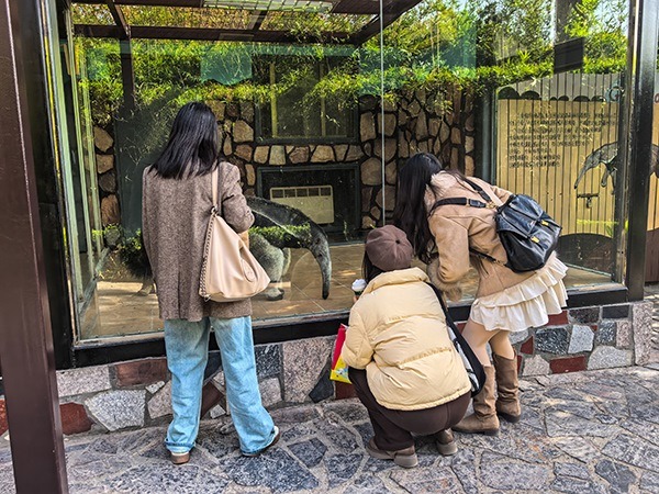 圖片： 上海野生動物園
