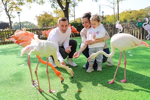 圖片： 上海野生動物園