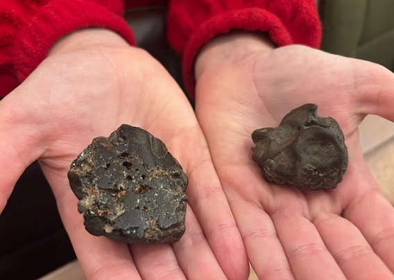 圖片來源:dailymail 圖片來源:dailymail