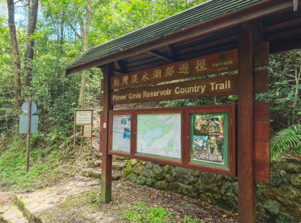 香港都有玻璃海！4大「偽出國」睇海秘境：神隱之路、小紐西蘭大草地！附前往方法
