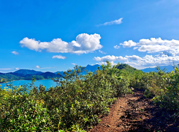香港都有玻璃海！4大「偽出國」睇海秘境：神隱之路、小紐西蘭大草地！附前往方法
