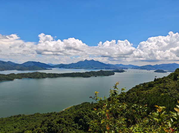 香港都有玻璃海！4大「偽出國」睇海秘境：神隱之路、小紐西蘭大草地！附前往方法