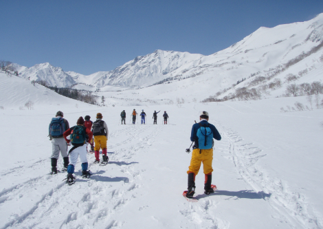 圖片來源：栂池高原スキー場