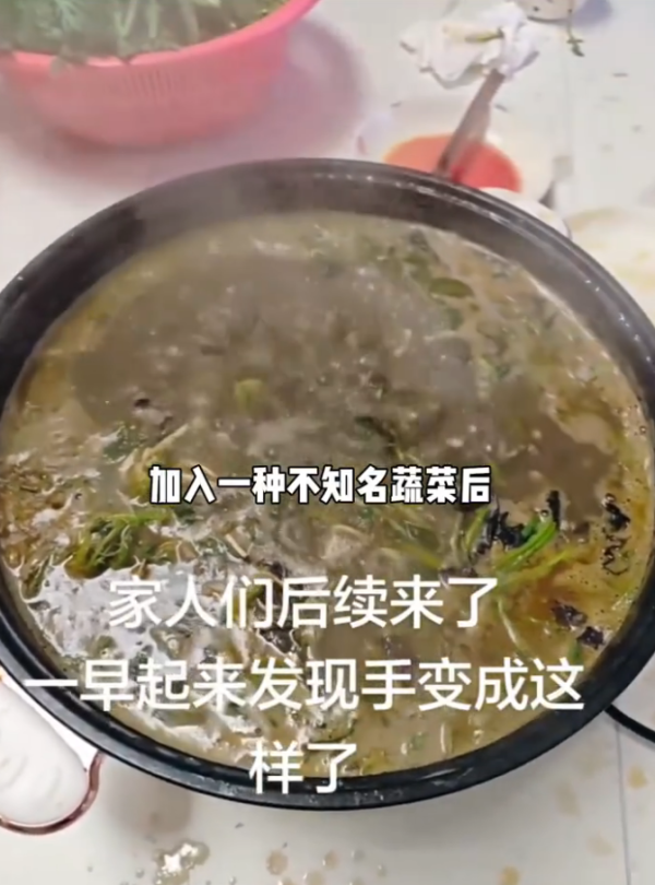 照片來源:小紅書@百姓315 照片來源:小紅書@百姓315