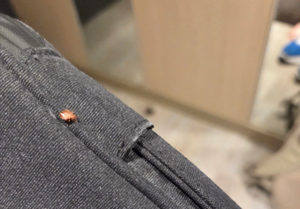 圖片來源:threads @instant_grain_0809 圖片來源:threads @instant_grain_0809