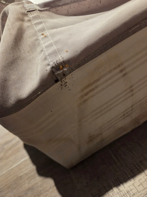 圖片來源:threads @instant_grain_0809 圖片來源:threads @instant_grain_0809