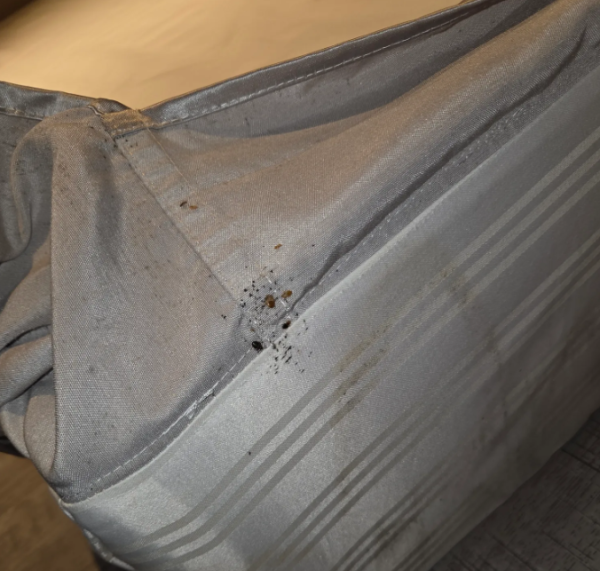 圖片來源:threads @instant_grain_0809 圖片來源:threads @instant_grain_0809