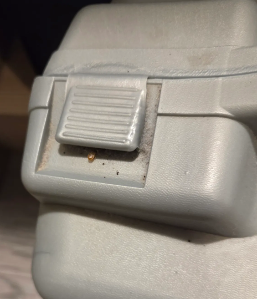 圖片來源:threads @instant_grain_0809 圖片來源:threads @instant_grain_0809