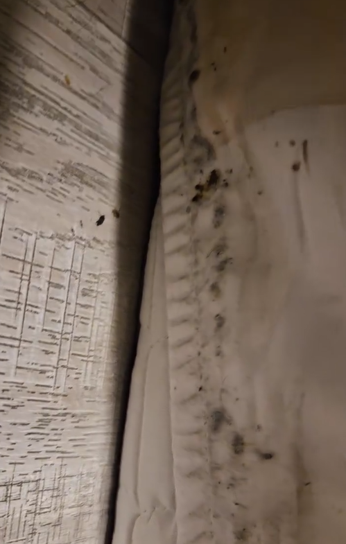 圖片來源:threads @instant_grain_0809 圖片來源:threads @instant_grain_0809