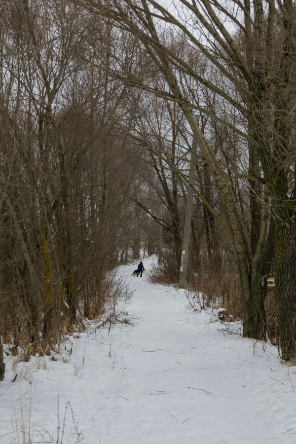 BBC揭全球7大養生術！日本神秘「1物摩擦」防感冒、印尼千年神飲增強免疫