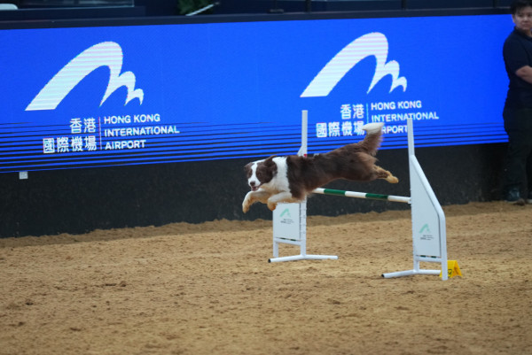 圖片來源：亞洲國際博覽館