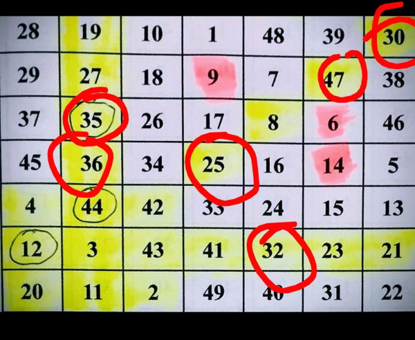 $4600萬六合彩周二攪珠！港人自創圖表奇蹟貼中頭獎號碼！實測大學教授「神組合」 僅$170買齊49個號碼