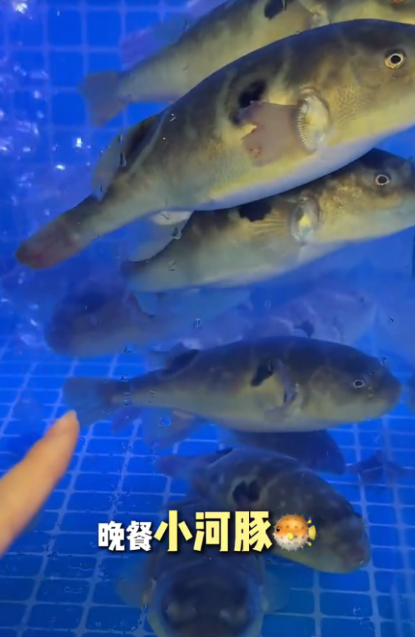 照片來源：小紅書@贪吃冉