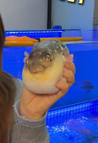 照片來源：小紅書@贪吃冉