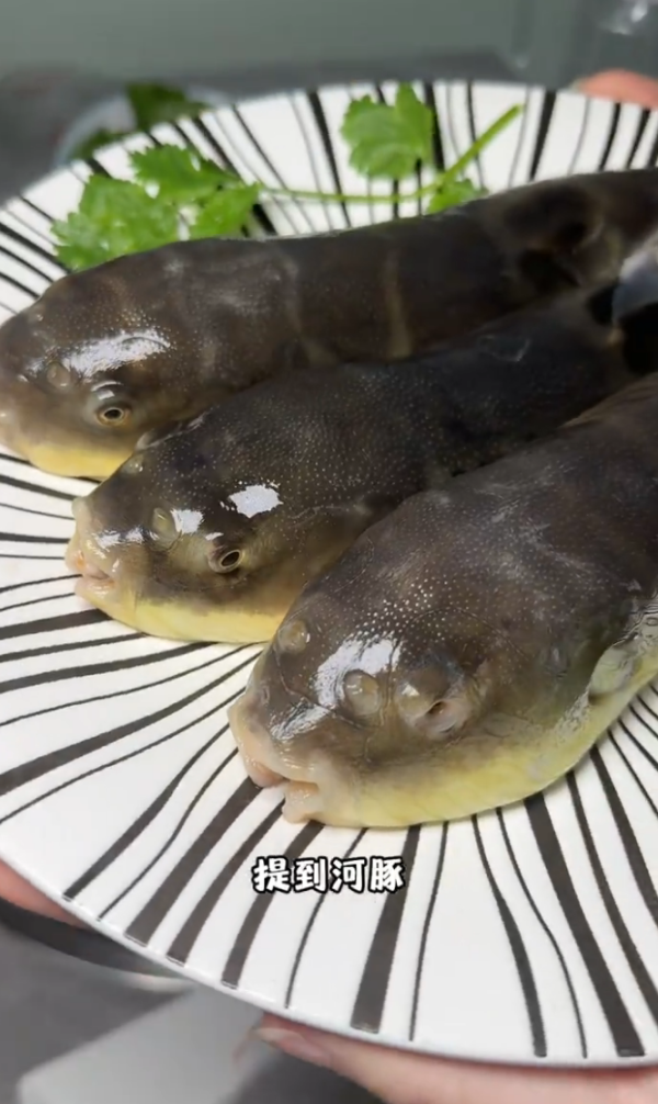 照片來源：小紅書@安安妈爱分享