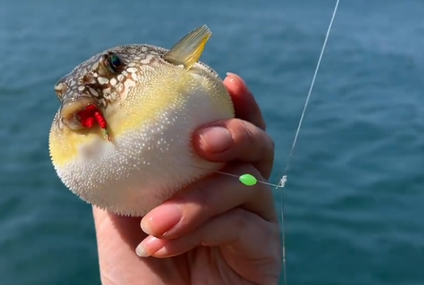 照片來源：小紅書@玩转珠海零姐姐